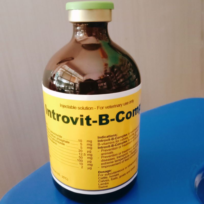 Introvit-B-Complex 100 ml Vitamin B Kompleks ternak