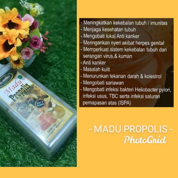 

SALE✅Madu Al Qubro propolis Asli|SQ5