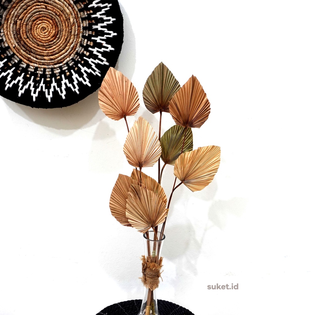Daun Palem Kering 3cabang Dekorasi Aesthetic