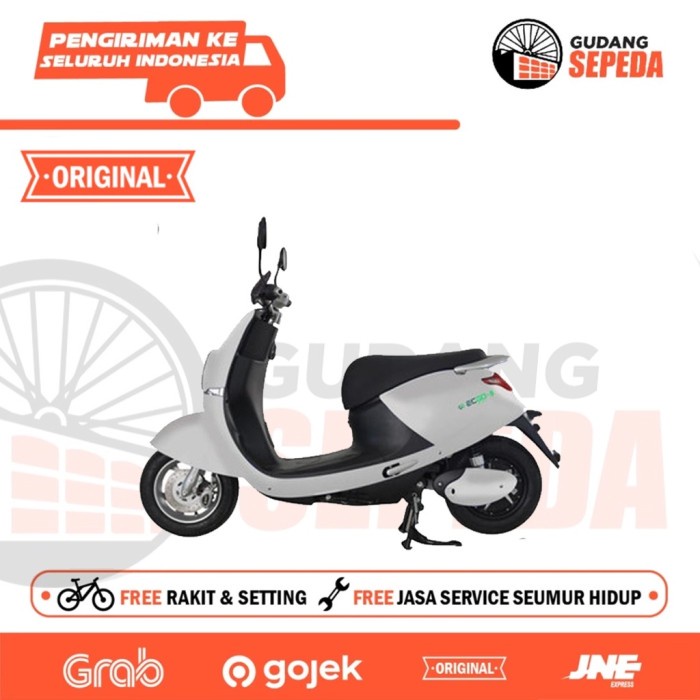Motor Listrik Sepeda Motor Listrik Ecgo 5 New 1000 W Stnk On The Road Garansi Sni