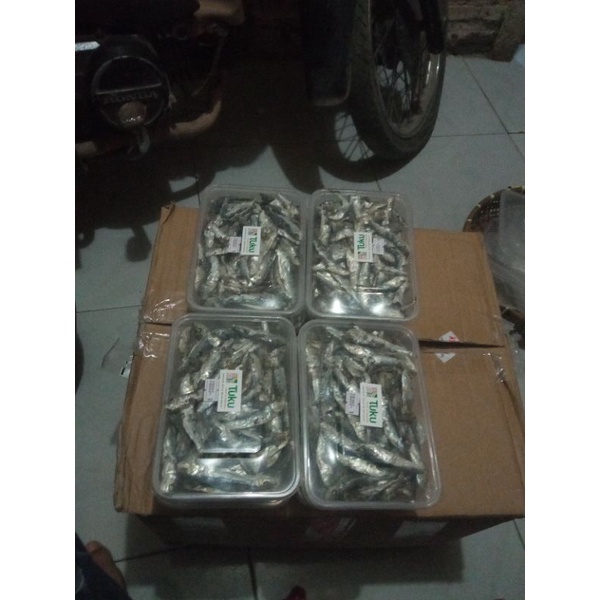 

ikan asin sarden kecil/cekong Rebus kualitas import super & termurah 250gram