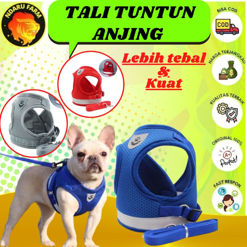 TALI TUNTUN KUCING TALI HARNESS KUCING  HARNESS KUCING  TALI TUNTUN ANJING  TALI KUCING HARNES NDARU