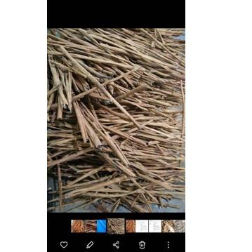 

FREE ONGKIR!Cinnamon atau Kayumanis Paling Murah dan Bagus|SQ7