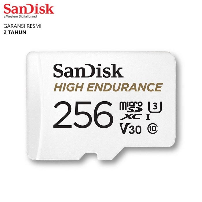 MEMORY SANDISK MICROSD 256GB/ MICRO SD 256 GB HIGH ENDURANCE VIDEO MONITORING