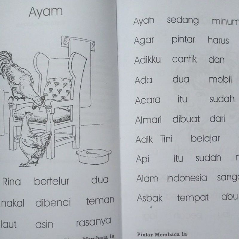 Buku Pintar Membaca Untuk TK &amp; SD 1a - 1b