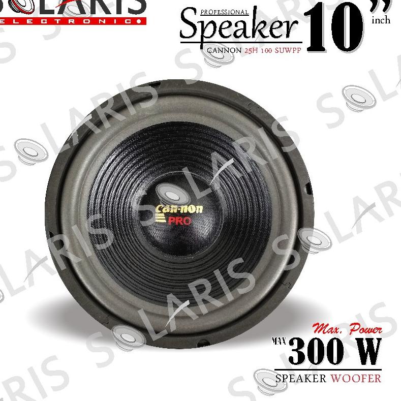 BRANDS FESTIVAL WOOFER 10 Inch PROTON 300 Watt 25H 100 SUWPP 