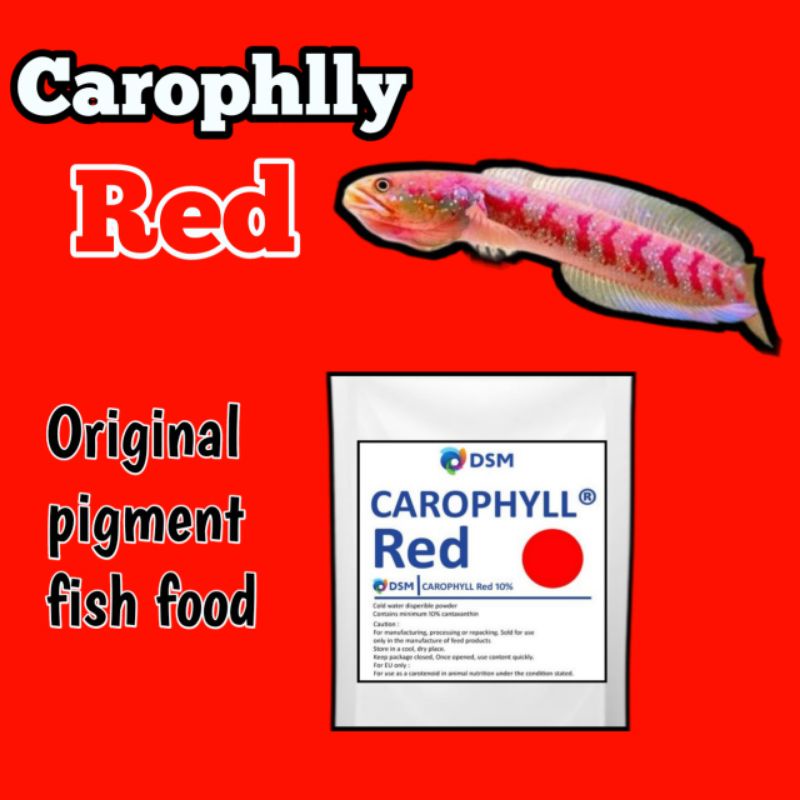 

Carophlly RED France 100% original varian colour RED caropil carofil