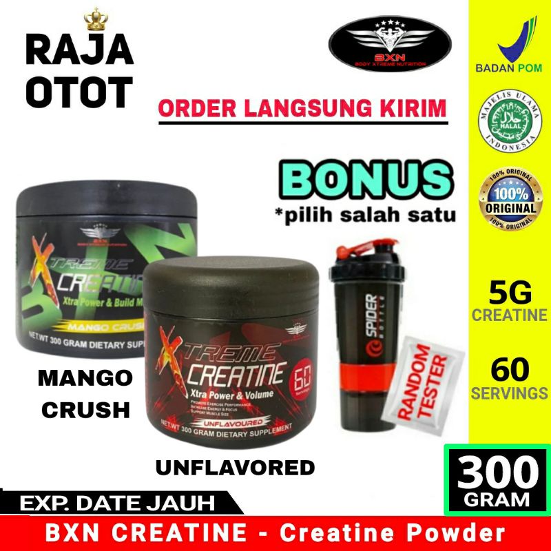 Jual Bxn Creatine 300 Gram 60 Serv Bxn Creatine 300gram 60serving Bxn