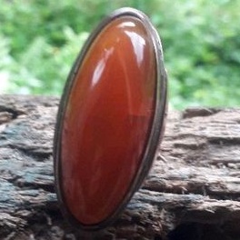 Natural Pandan Merah Pepaya Lawasan Ring Gacor