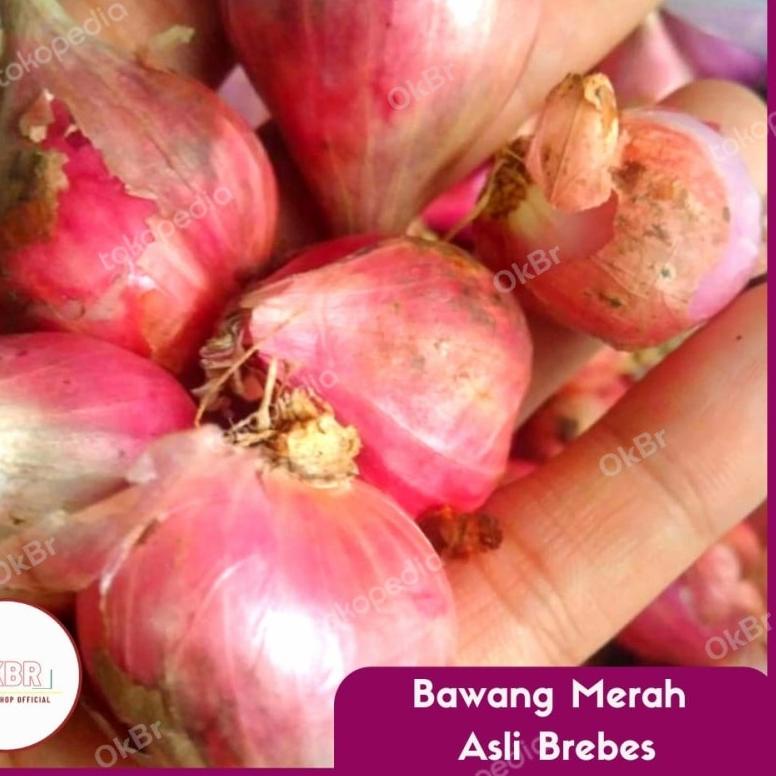 

✨Mall✨ Bawang Meras Asli Brebes !!!