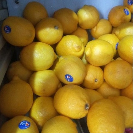 

Lemon Import