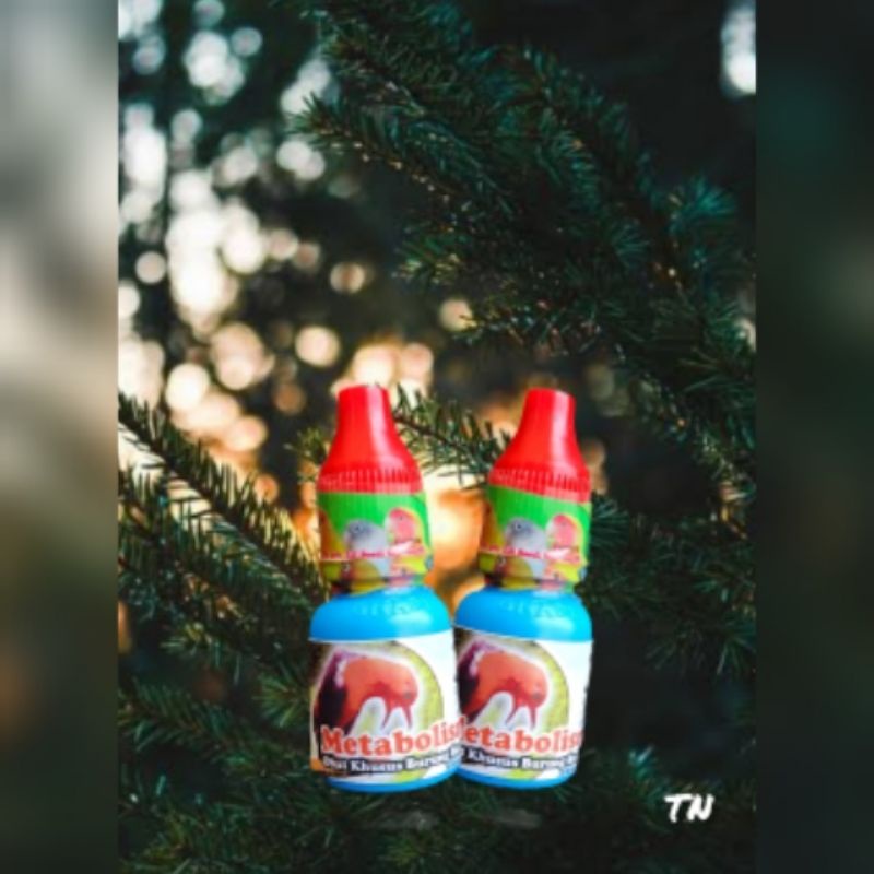 METABOLISME DR.EDHI OBAT BURUNG VITAMIN BURUNG