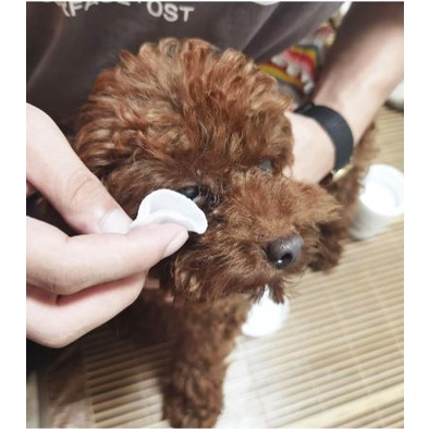 PET WIPES TISU BASAH PEMBERSIH MATA KUCING ANJING PEMBERSIH ISI 130PCS