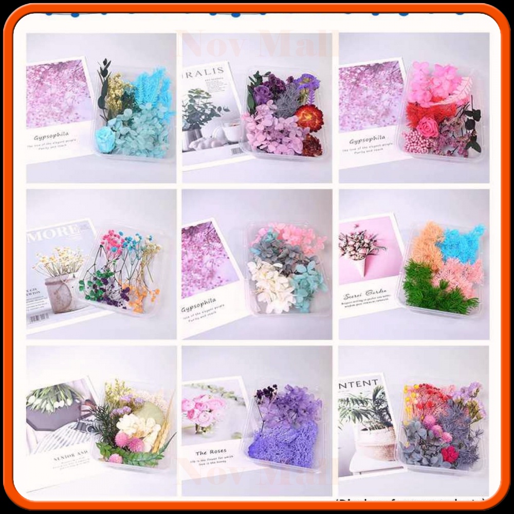 Bunga Kering Aromatherapy Real Dried Flower AM438