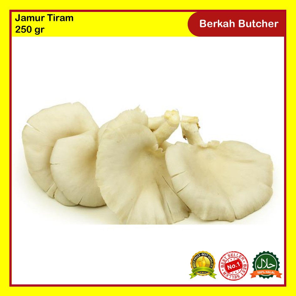 Jamur Tiram Segar 250 gr Berkah Butcher