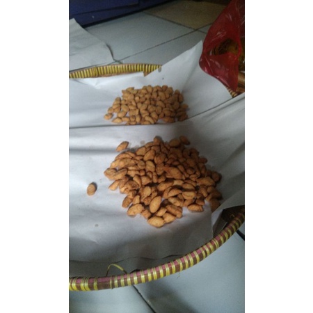 

biji ketapang