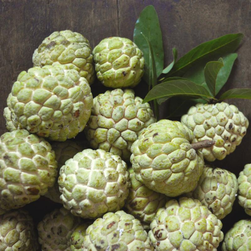 

buah srikayamadu