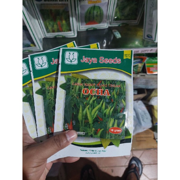 Benih Cabe Rawit Hijau Tegak Ocha 10gr