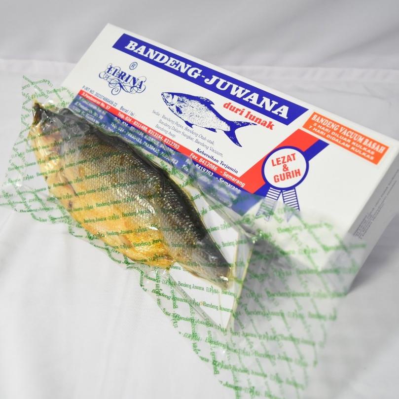 

ab✾Ready Stok✵ BJ Elrina Bandeng Vacuum BASAH 0.5kg (tahan 5 hari) merek Bandeng Juwana Elrina 36
