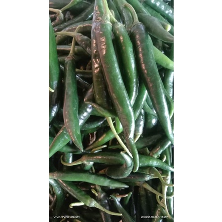 

Cabe Hijau Besar Super 500 gr