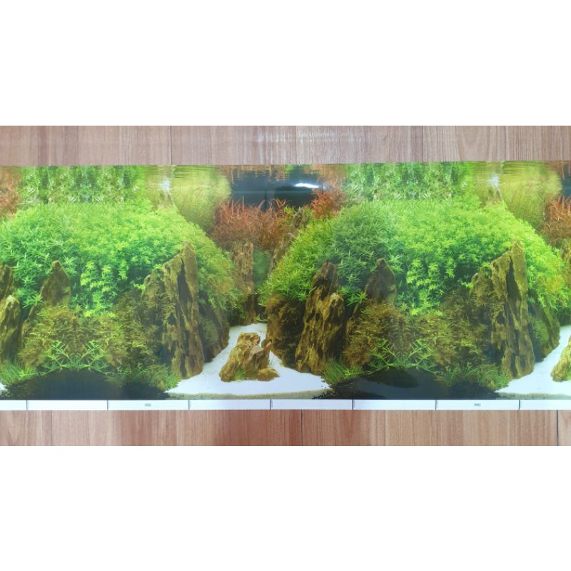 WALLPAPER GAMBAR AQUARIUM AQUASCAPE TINGGI 30CM 3D MOTIF BARU