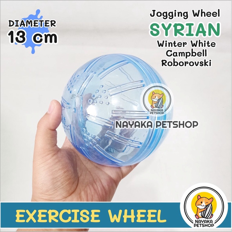 Bola Hamster Syrian Jogging Ball Exercise Wheel Rolling Roda Kincir Mainan Putar Hewan