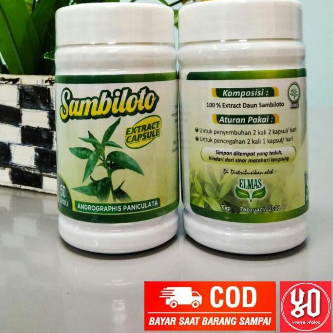 

COD✔️SAMBILOTO 50 KAPSUL / HERBAL EKSTRAK DAUN SAMBILOTO|RA6