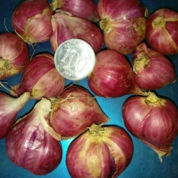 

Fresh--Bawang Merah BREBES DIJAMIN Besar 1 Kg