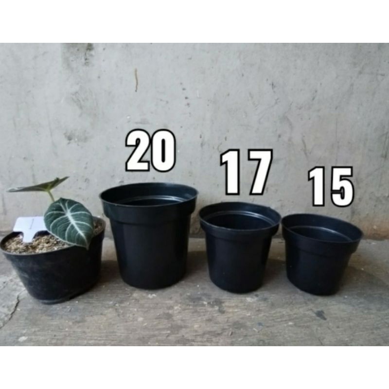 Pot tinggi srondol Hitam, pot tinggi murah