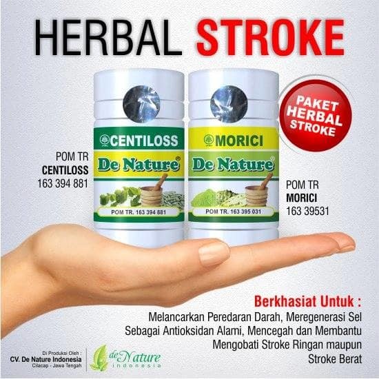 Obat Stroke Obat Stroke Ringan Obat Stroke Berat