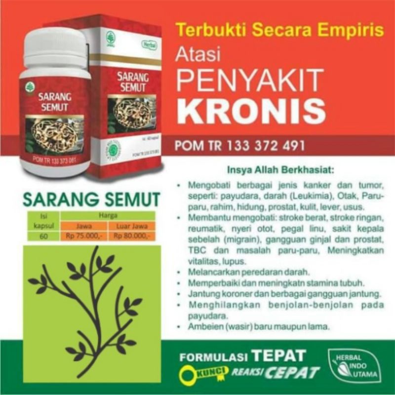 HIU Kapsul Sarang Semut Herbal Kanker Tumor dll