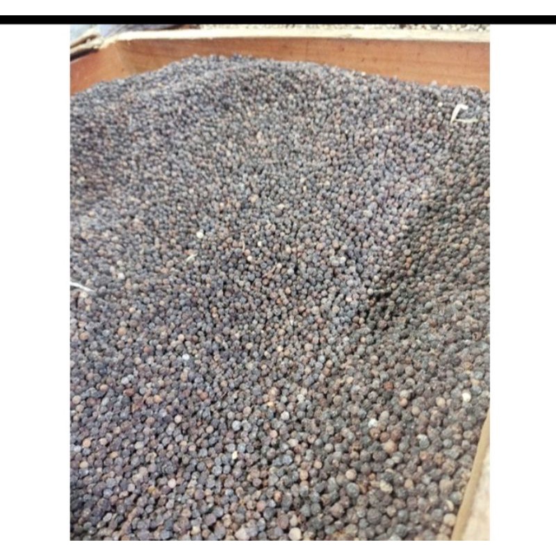 

lada hitam / merica hitam 100 gr