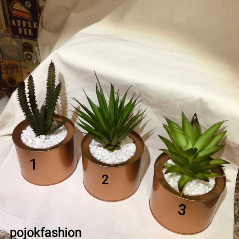 Tanaman Hias Kaktus Plastik Kaktus Hias Kaktus Sukulen Dengan Pot Bunga Metal