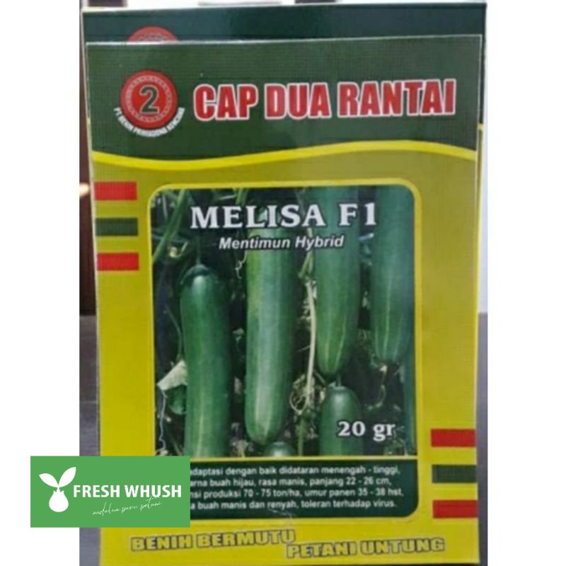 

Timun Melisa F1 Timun Hijau Hibrida 20gr Kemasan Original Pabrik Cap Dua Rantai