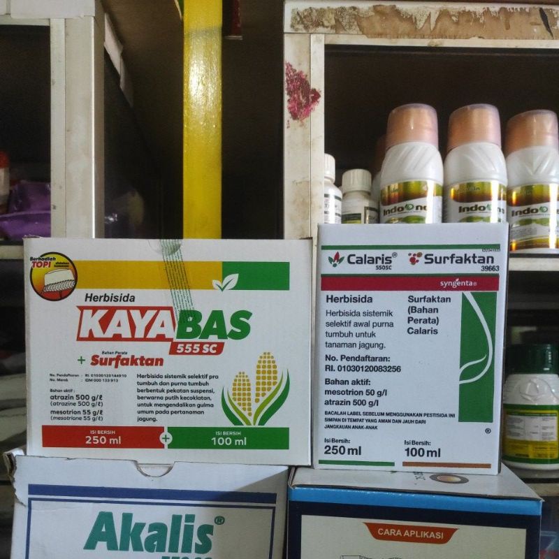 KAYABAS / CALARIS