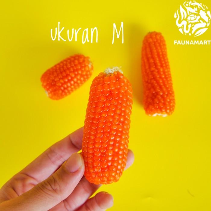 Jagung Kering Makanan Snack Hamster