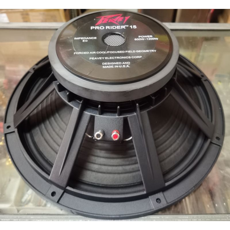 Speaker 15 inc Peavey Pro Rider 15