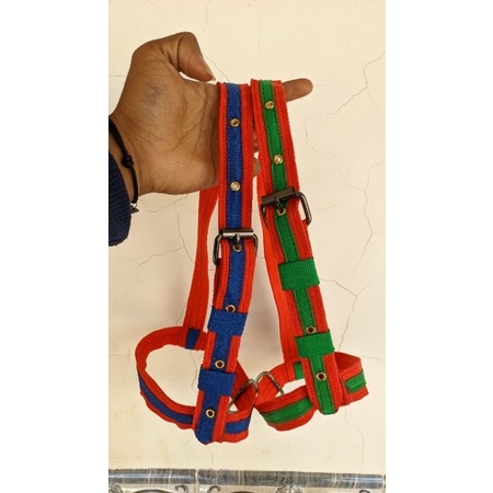 BRANGUS KAMBING & DOMBA