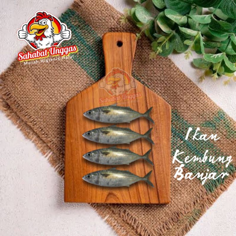 

Ikan Kembung Banjar 500gr