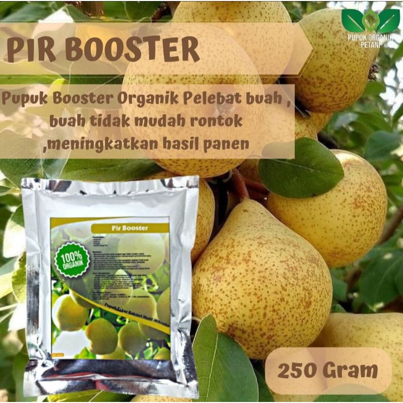 Pupuk organik booster perangsang buah pir agar cepat berbuah lebat serbuk organik nutrisi organik buah pir agar tidak mudah rontok pemanis buah pir booster penyubur buah pir