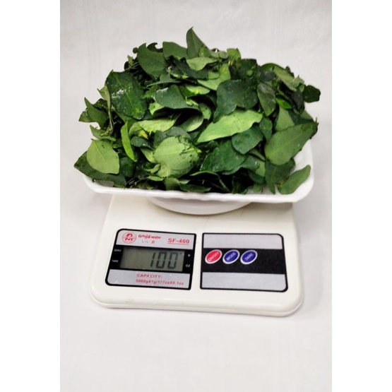 

Daun katuk segar tanpa tangkai dan ranting 100 gr