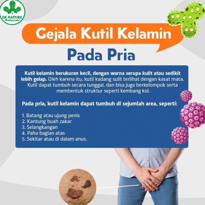 SALEP PERONTOK KUTIL KELAMIN PRIA/WANITA OBAT KUTIL KELAMIN, PRIA TERMURAH