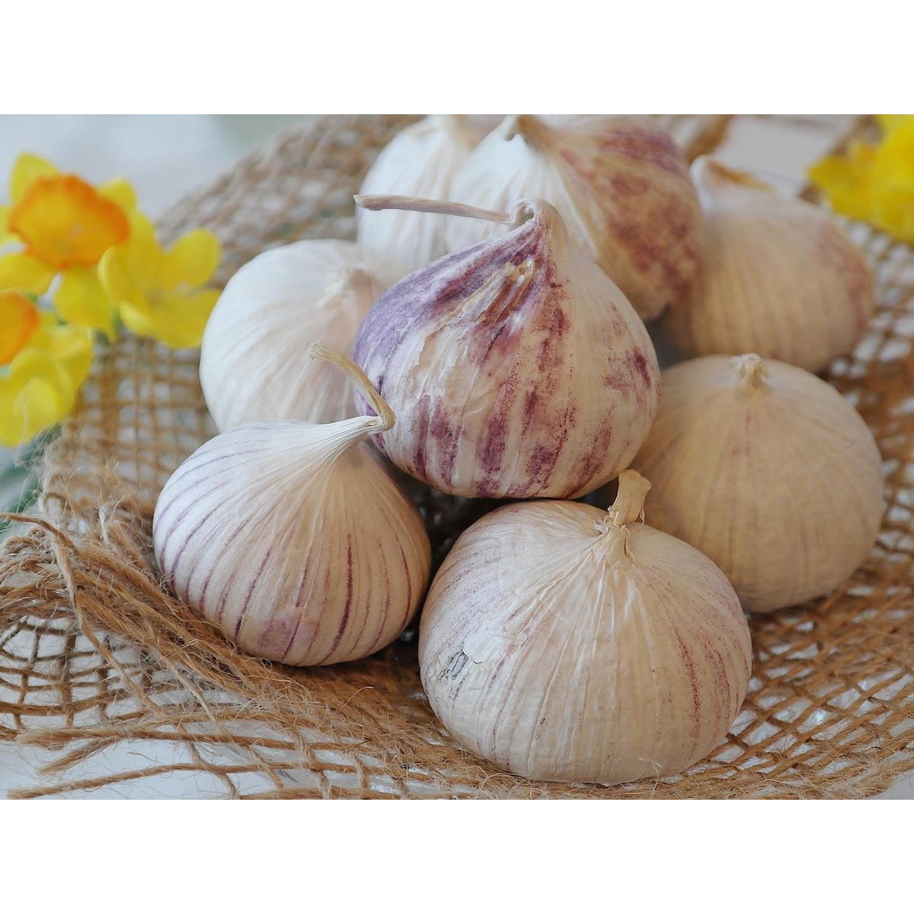 

BAWANG PUTIH TUNGGAL BAWANG LANANG