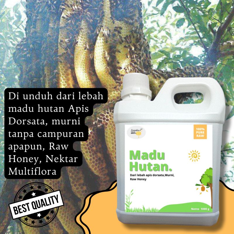 

Madu Hutan Murni Raw Honey
