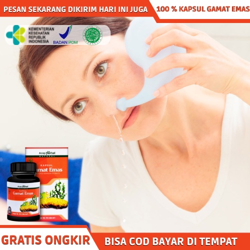 Obat Sinusitis, Obat Herbal Sinusitis Akut, Sinusitis Kronis, Obat Hidung Tersumbat, Obat Peradangan
