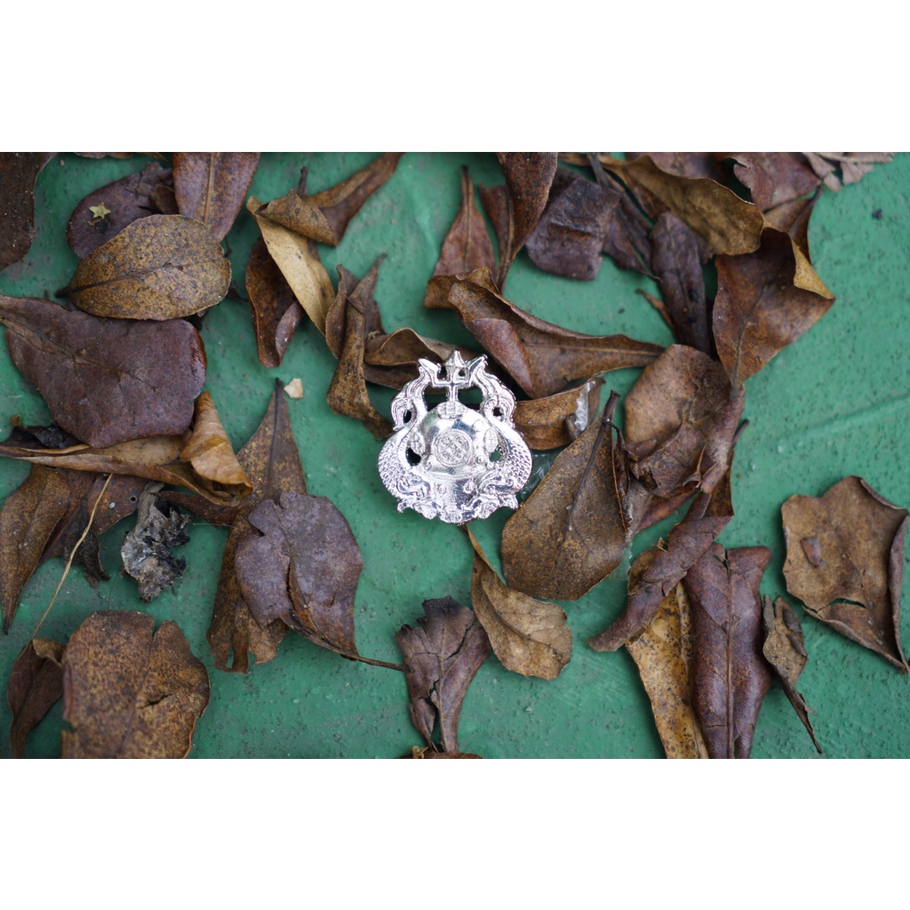 US Army Master Diver Badge/Pin