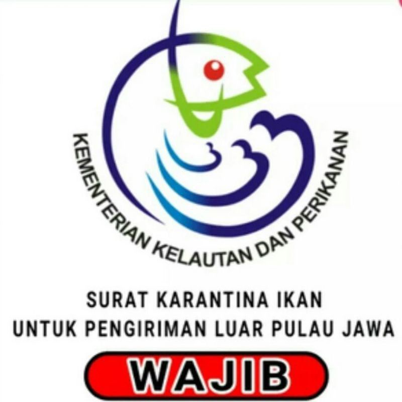 surat karantina ikan hias (khusus luar pulau jawa)
