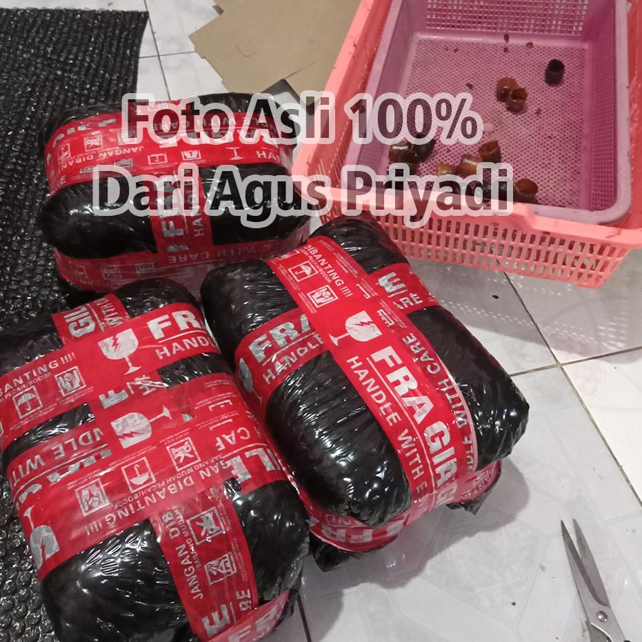 Jual Pot Madu atau Kantong Madu Buatan dari propolis untuk Lebah Trigona kelulut Itama PACKING DIJAM