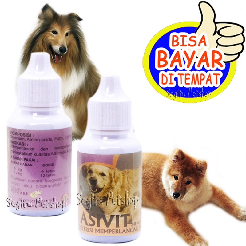 Vitamin Anjing Menyusui Pelancar Air Susu Indukan  Asivit Dog