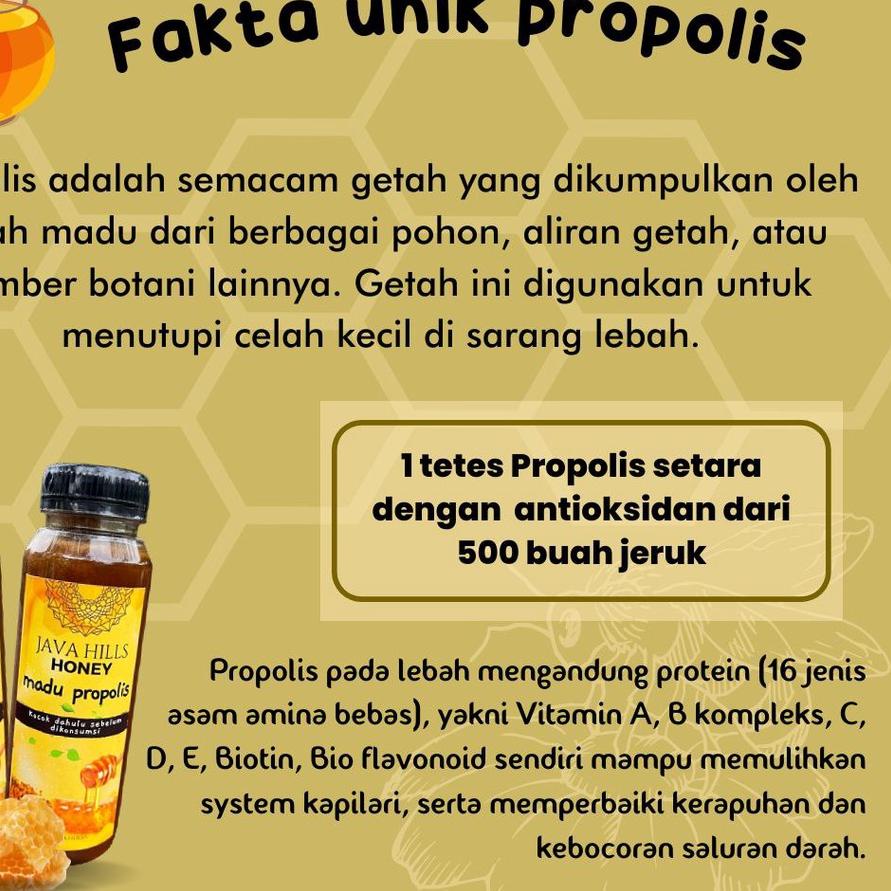 

Terbaru 10.10 MADU PROPOLIS HERBAL ASLI MURNI PREMIUM ORIGINAL BY JAVA HILLS HONEY 330gr !!